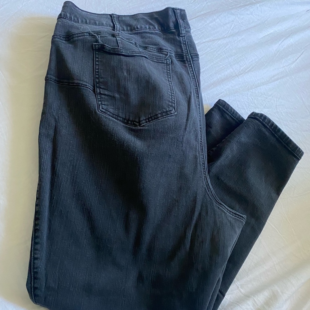 Torrid Premium Stretch